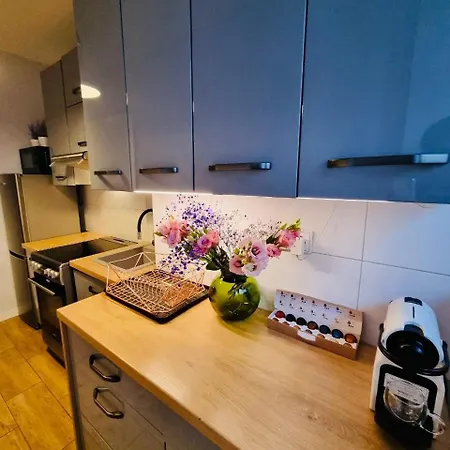 My Beloved Zurawia Street